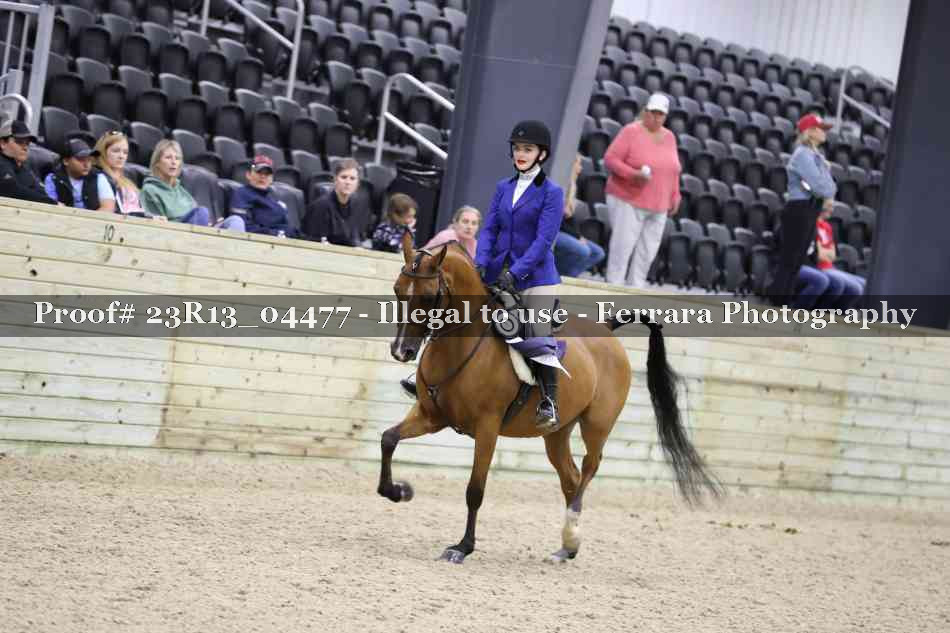 Proof 23R13_04477
