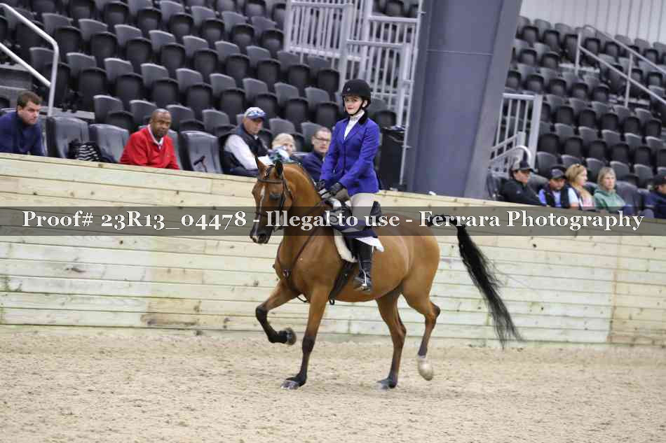 Proof 23R13_04478