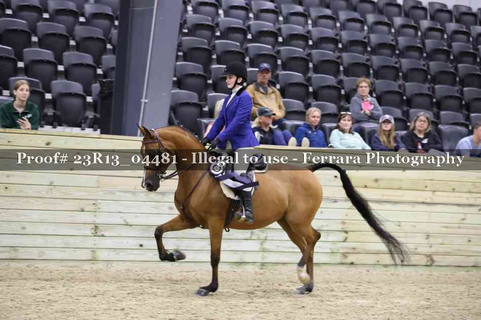 Proof 23R13_04481