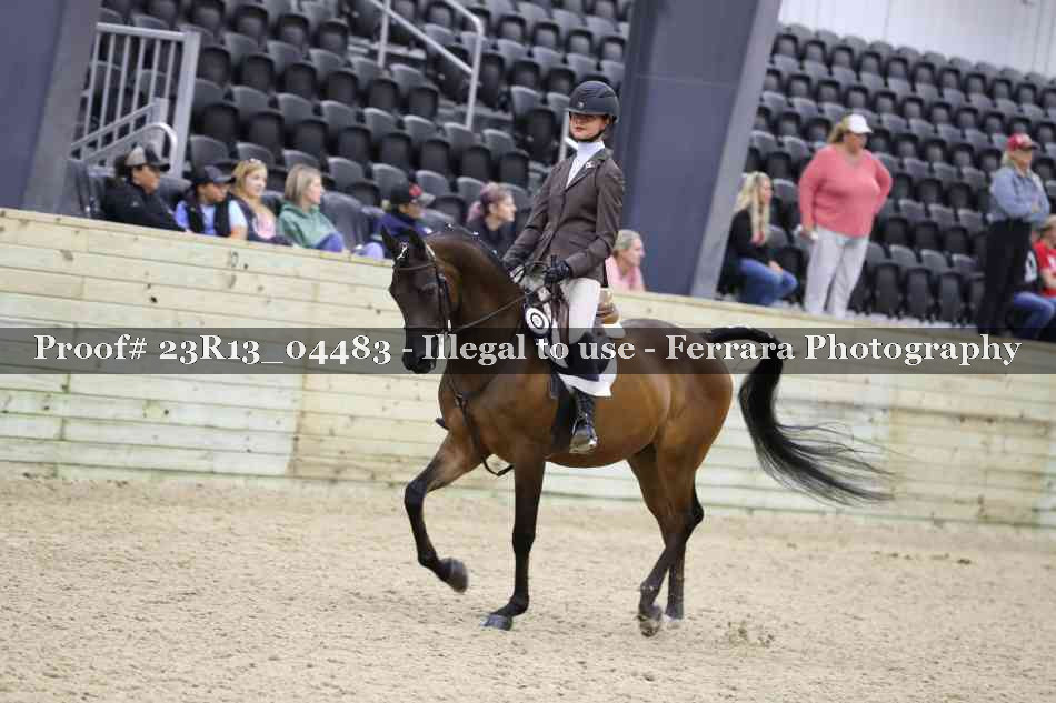 Proof 23R13_04483