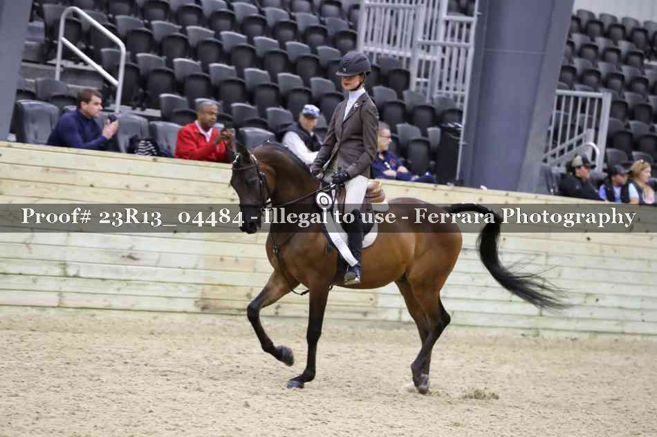 Proof 23R13_04484