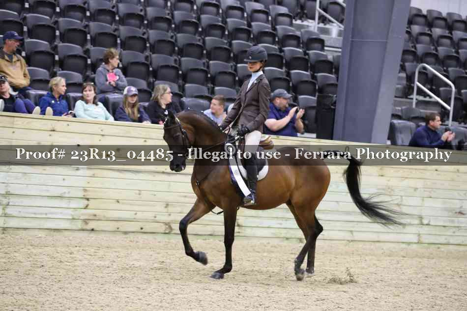 Proof 23R13_04485