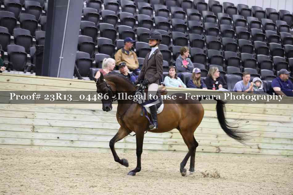 Proof 23R13_04486
