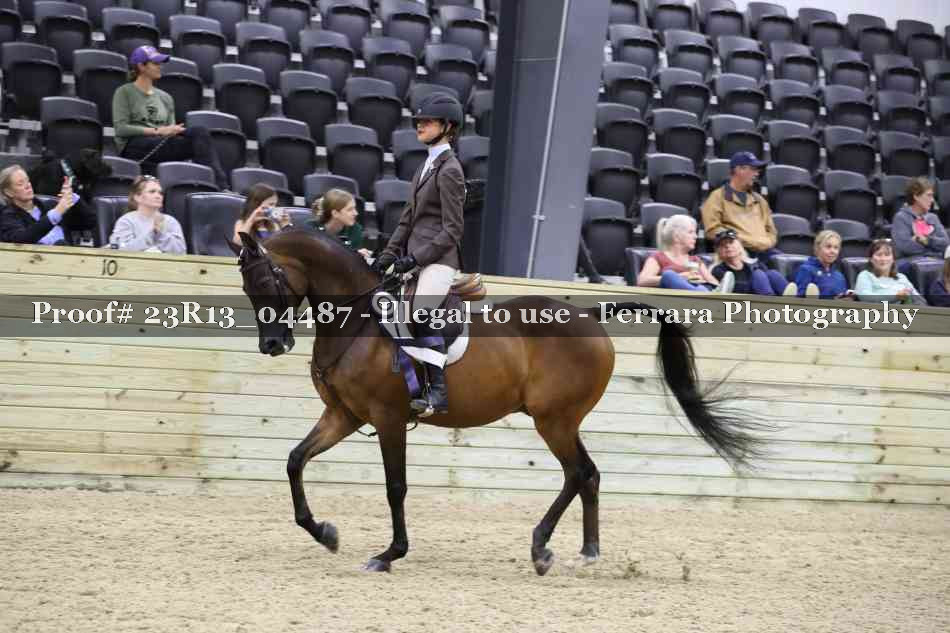 Proof 23R13_04487