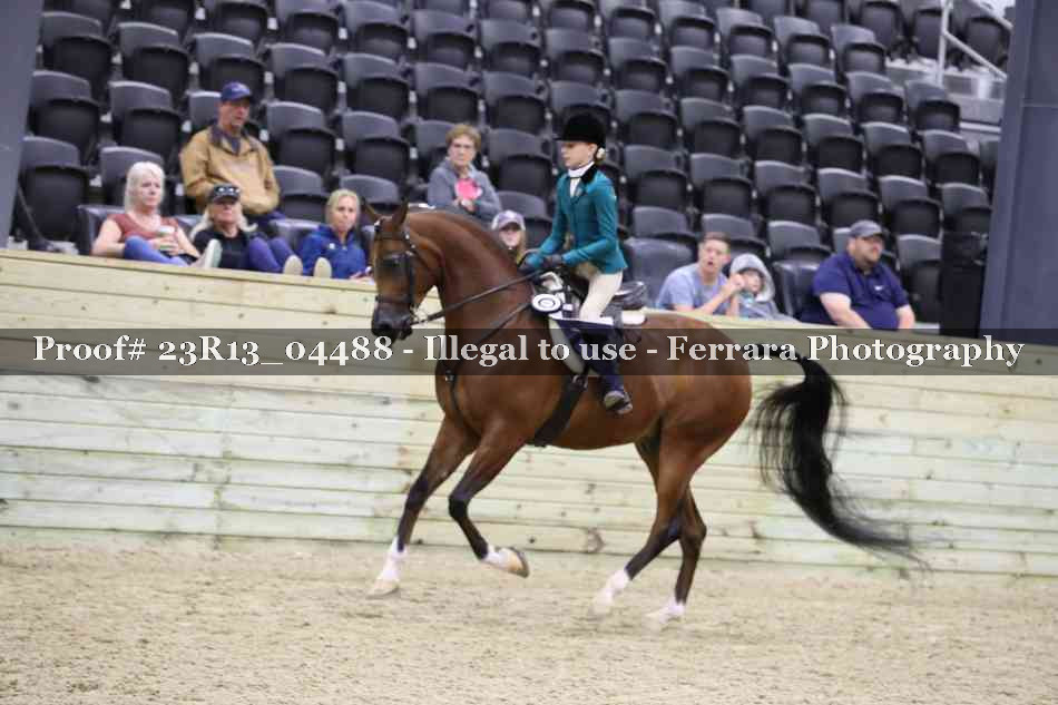 Proof 23R13_04488