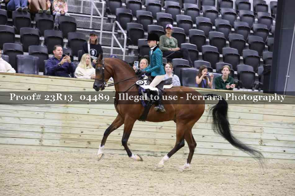Proof 23R13_04489