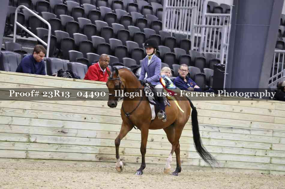 Proof 23R13_04490