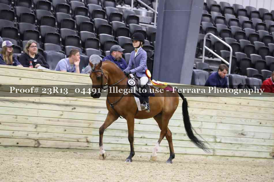 Proof 23R13_04491