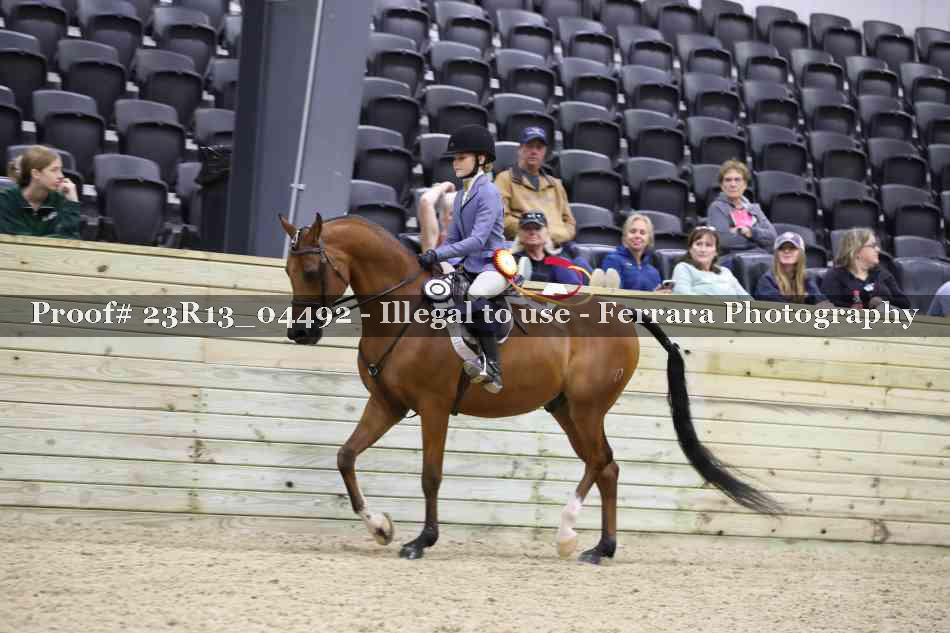 Proof 23R13_04492