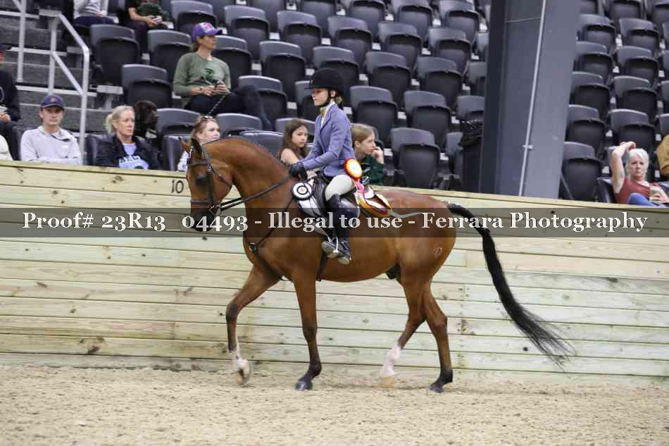 Proof 23R13_04493