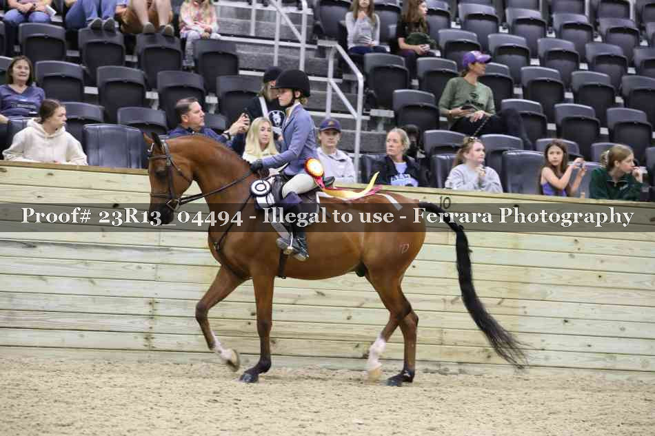 Proof 23R13_04494
