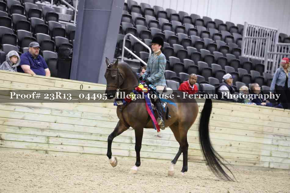 Proof 23R13_04495