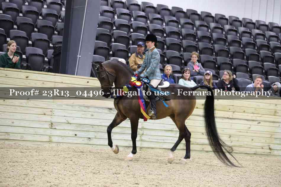 Proof 23R13_04496