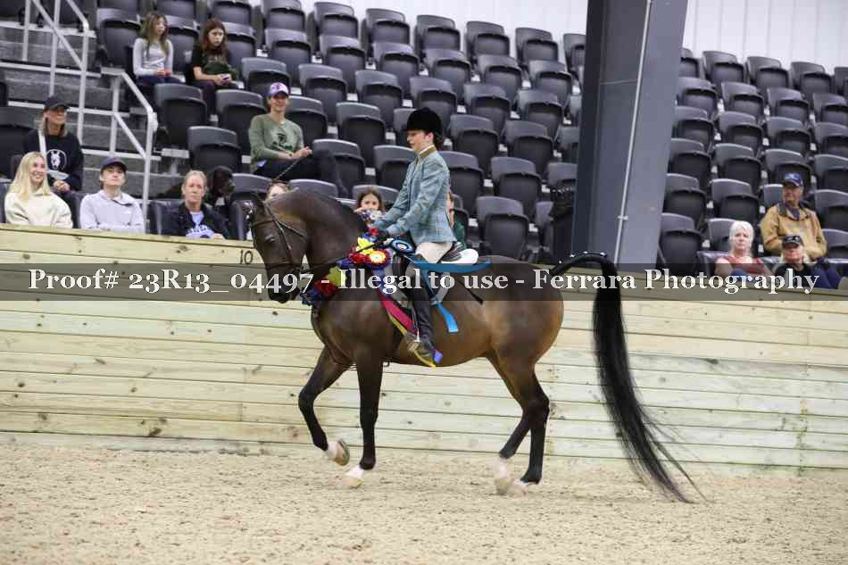Proof 23R13_04497