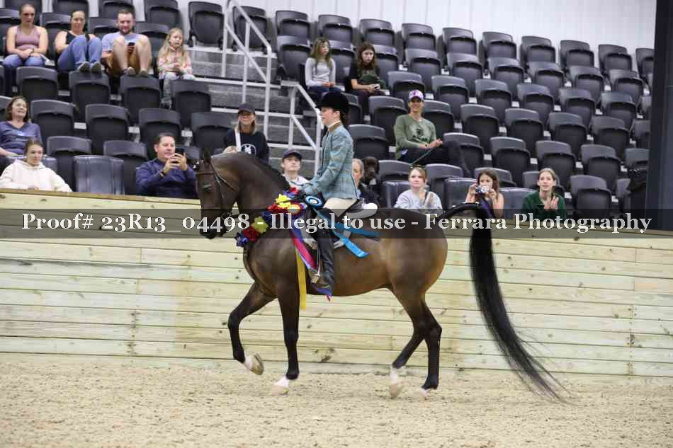 Proof 23R13_04498