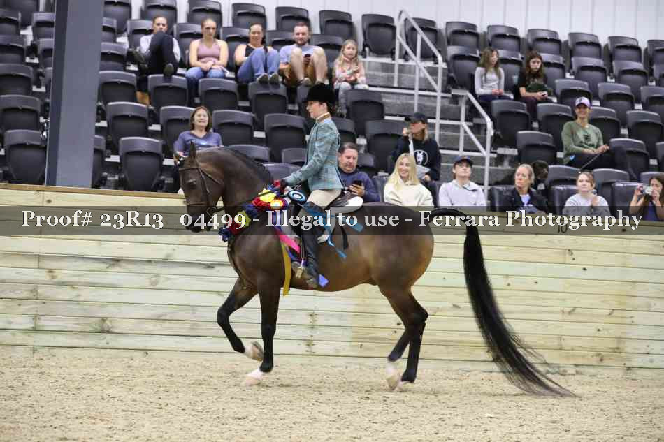Proof 23R13_04499