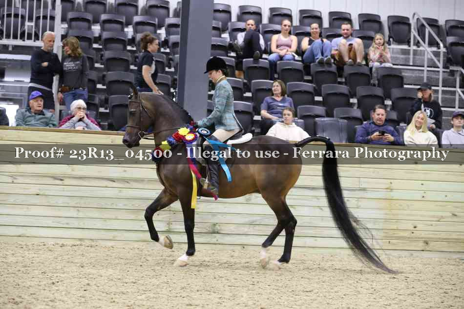 Proof 23R13_04500