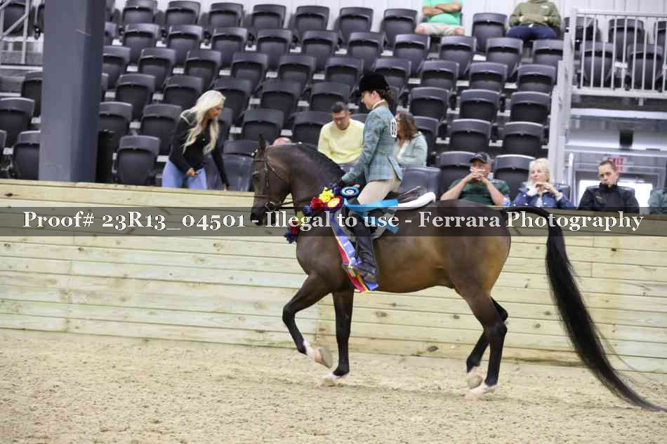 Proof 23R13_04501