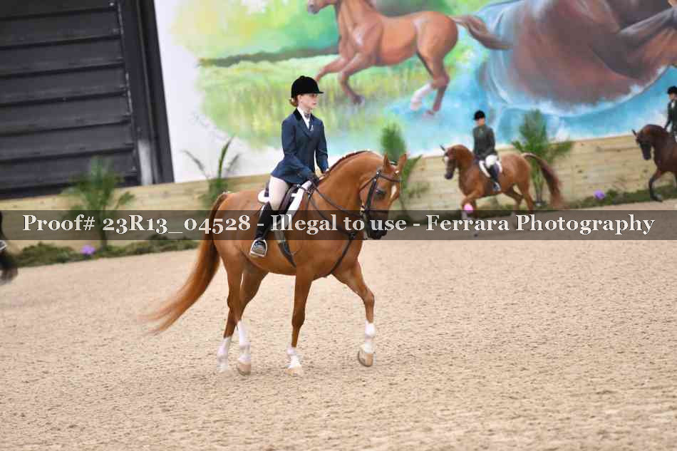 Proof 23R13_04528
