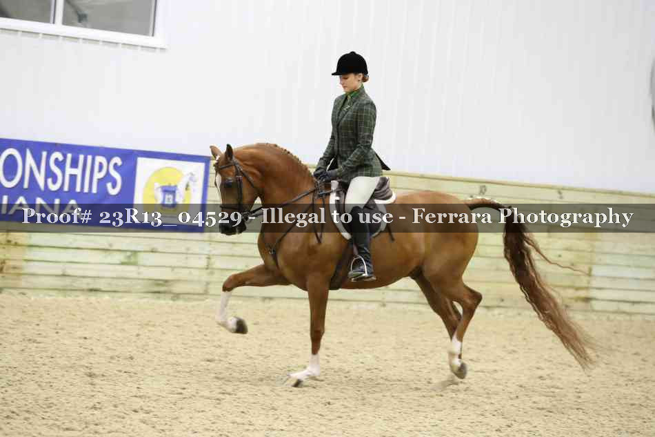 Proof 23R13_04529