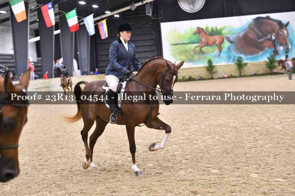 Proof 23R13_04541