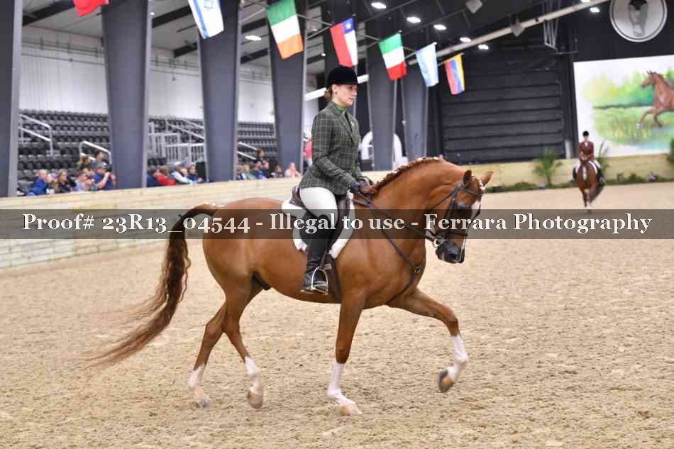 Proof 23R13_04544