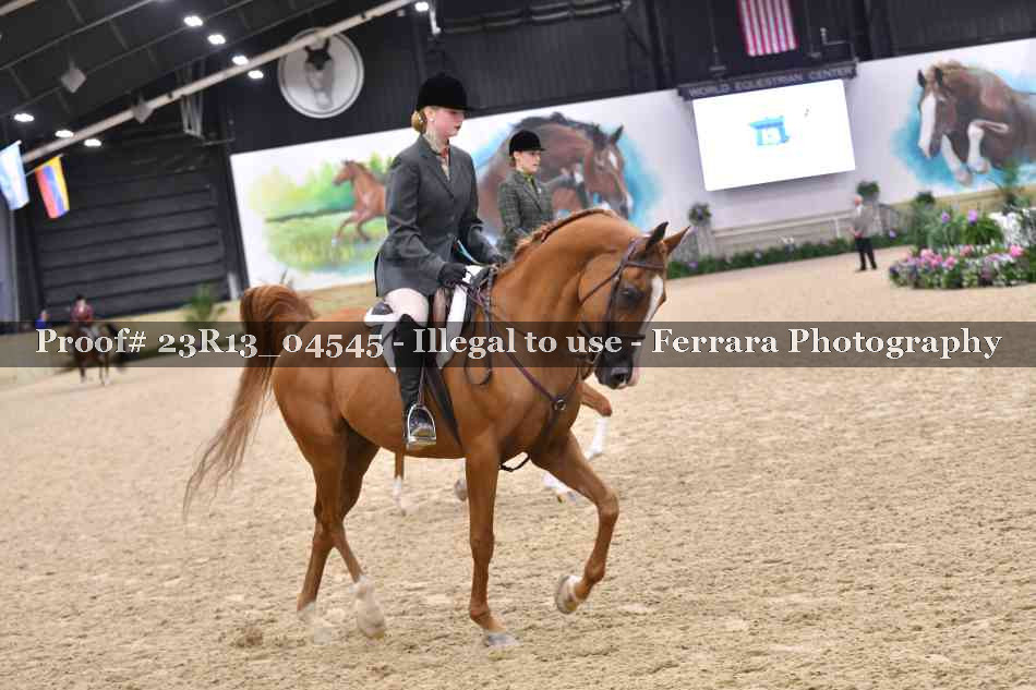 Proof 23R13_04545