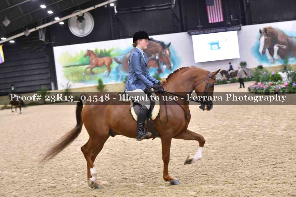 Proof 23R13_04548