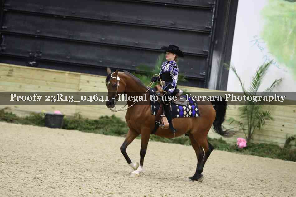 Proof 23R13_04641