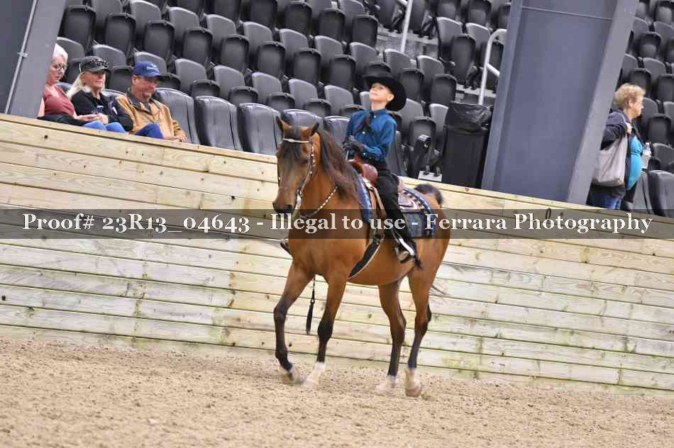 Proof 23R13_04643