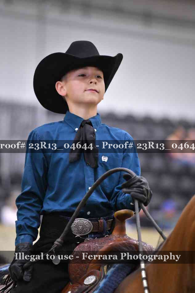 Proof 23R13_04644