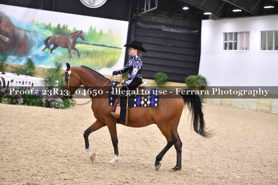 Proof 23R13_04650
