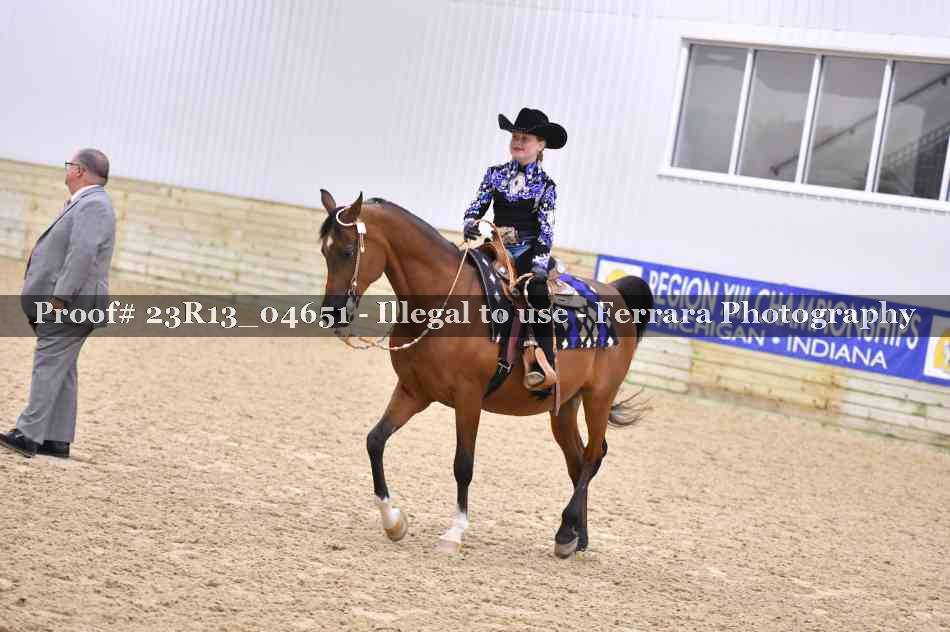 Proof 23R13_04651