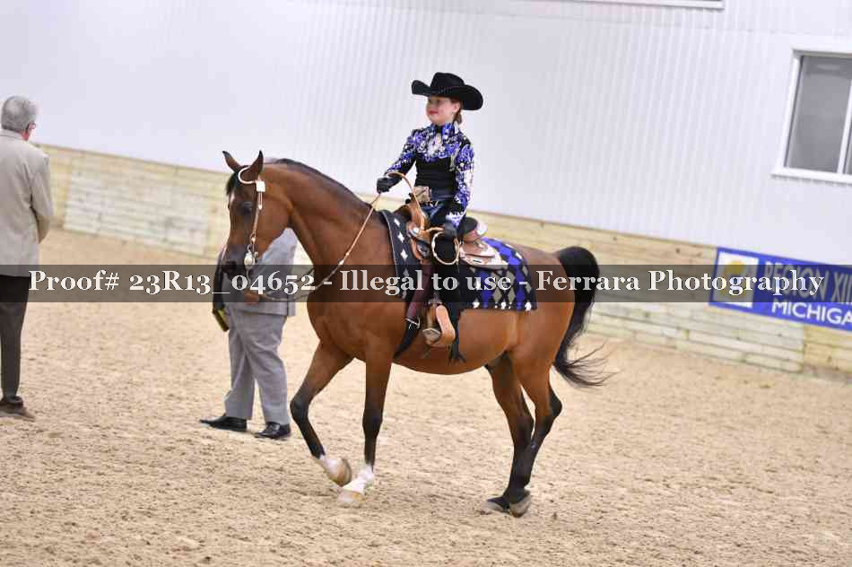 Proof 23R13_04652