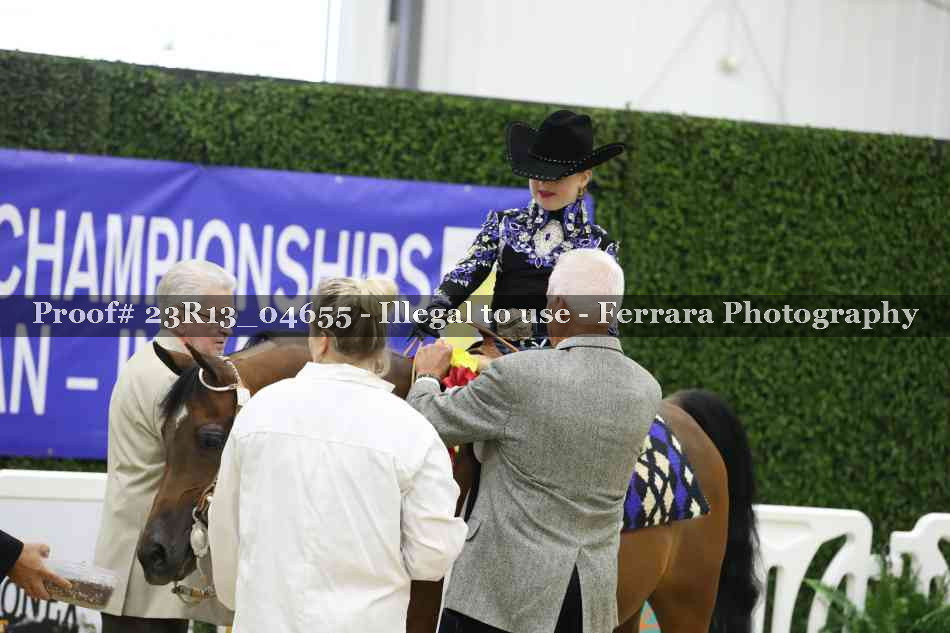 Proof 23R13_04655