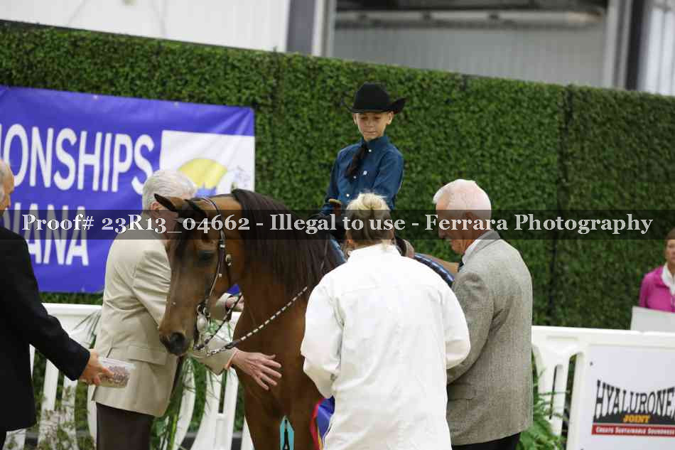 Proof 23R13_04662