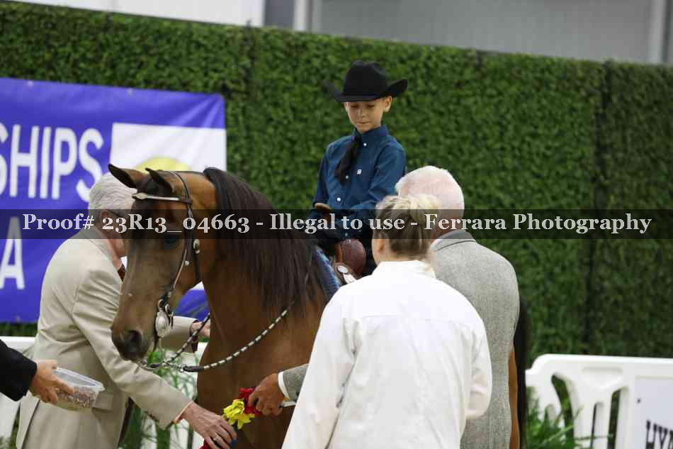 Proof 23R13_04663