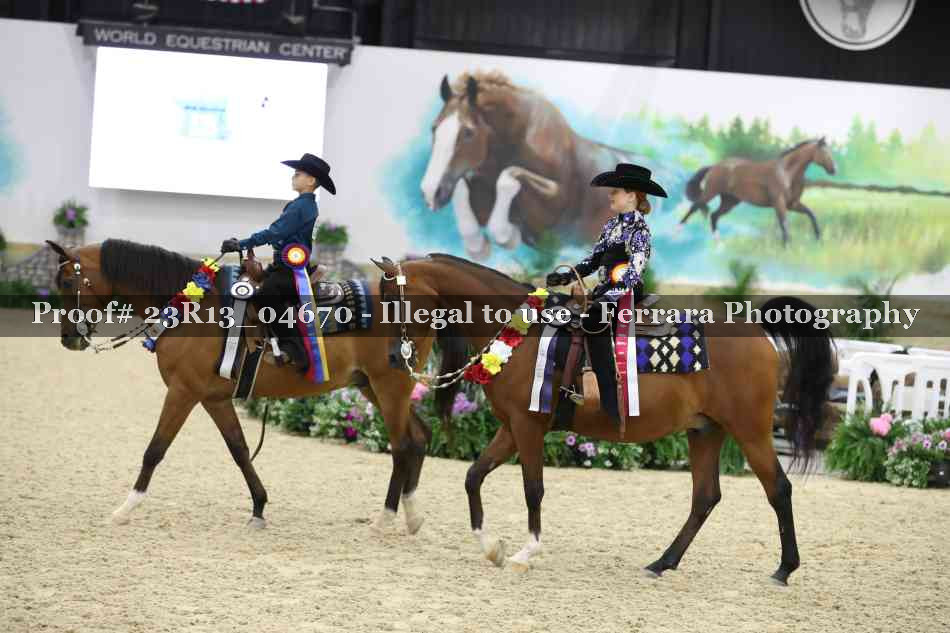 Proof 23R13_04670