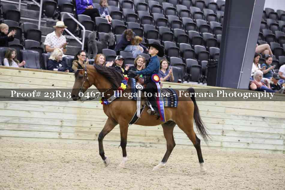Proof 23R13_04671