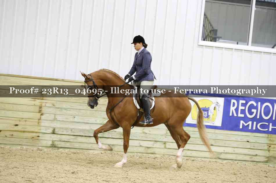 Proof 23R13_04695