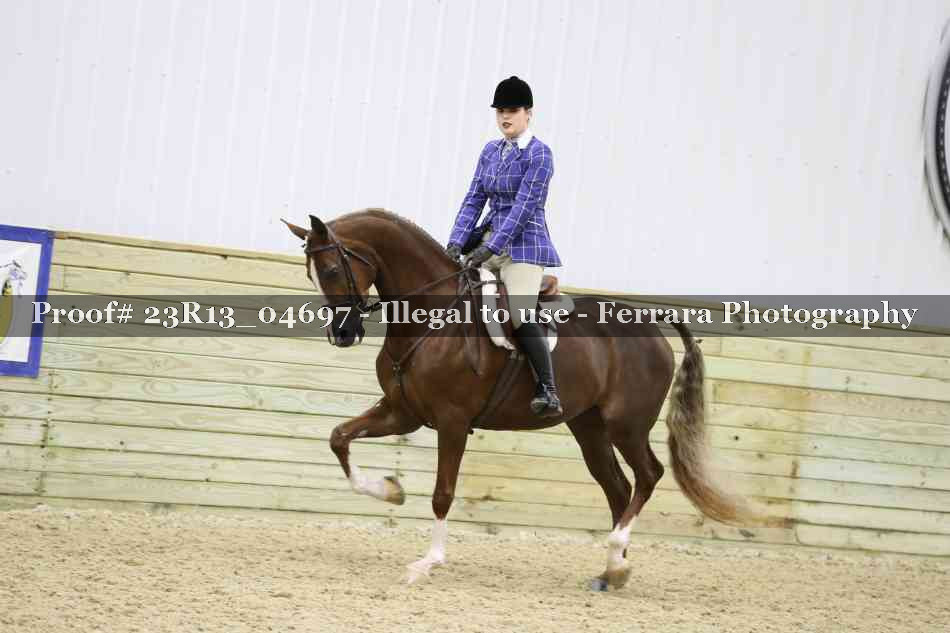 Proof 23R13_04697