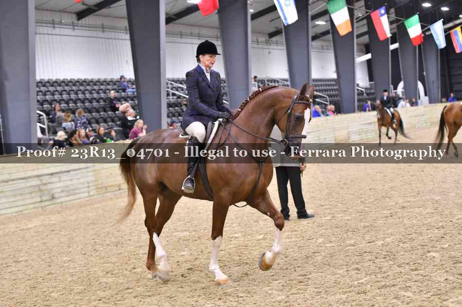 Proof 23R13_04701
