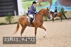 23R13_04713 proof