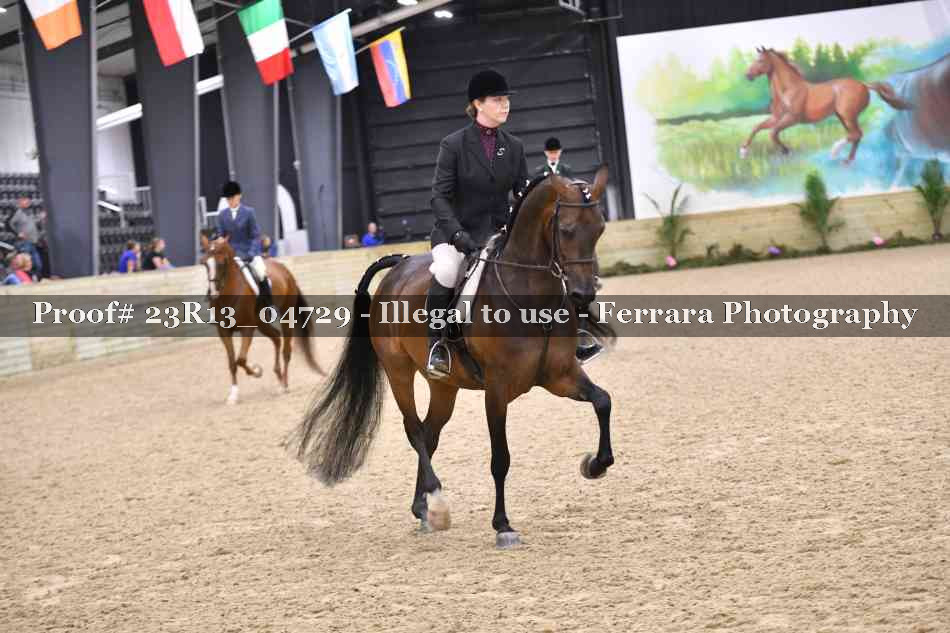 Proof 23R13_04729