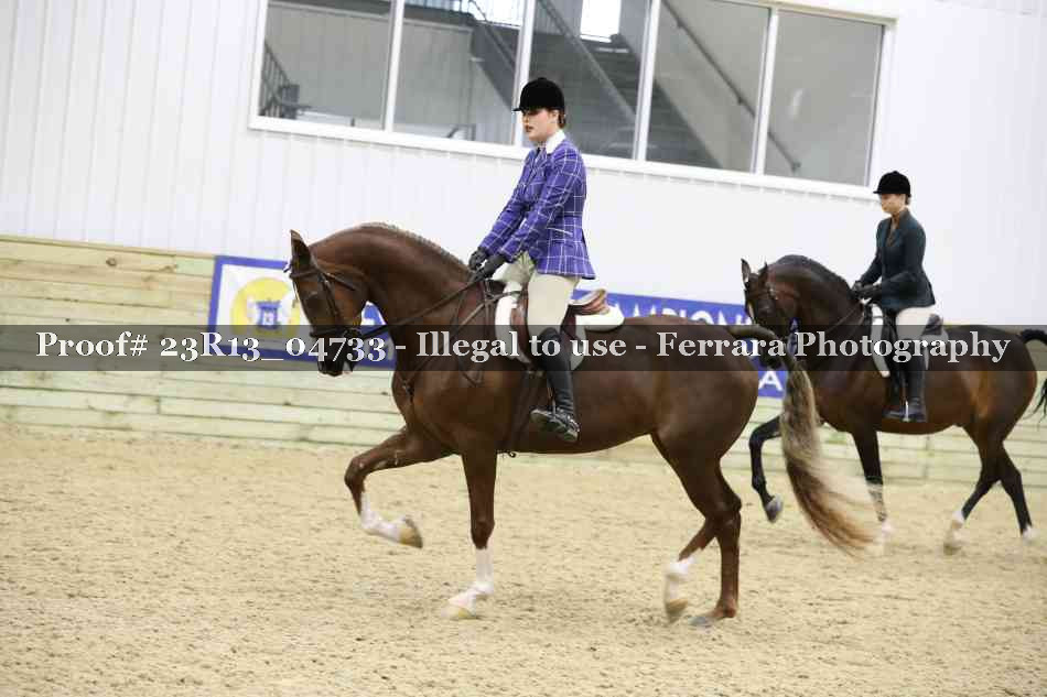 Proof 23R13_04733