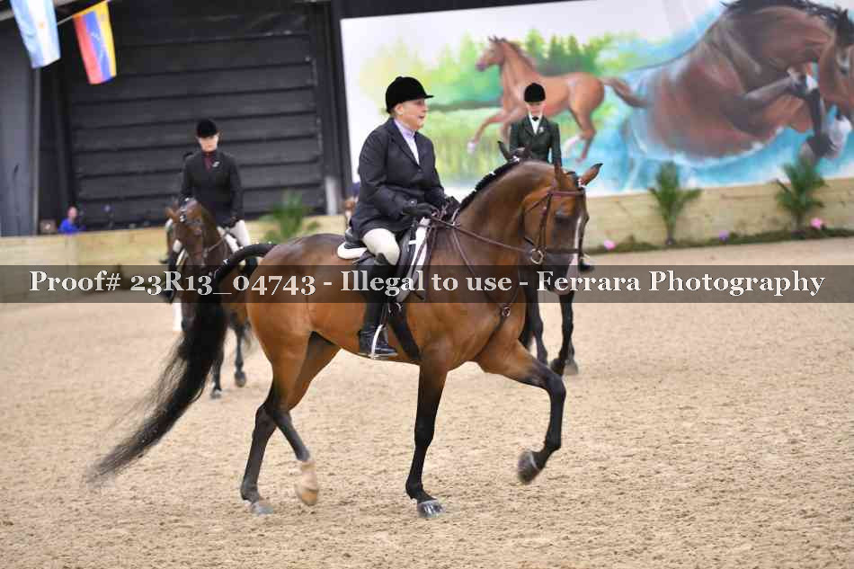 Proof 23R13_04743