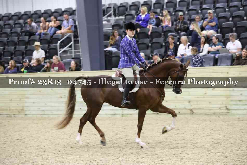Proof 23R13_04745