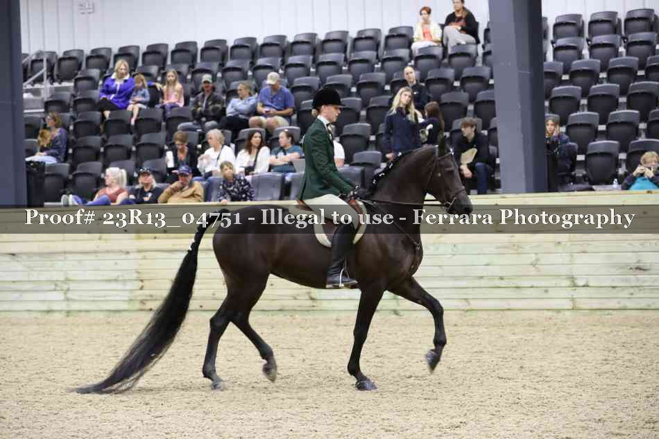 Proof 23R13_04751