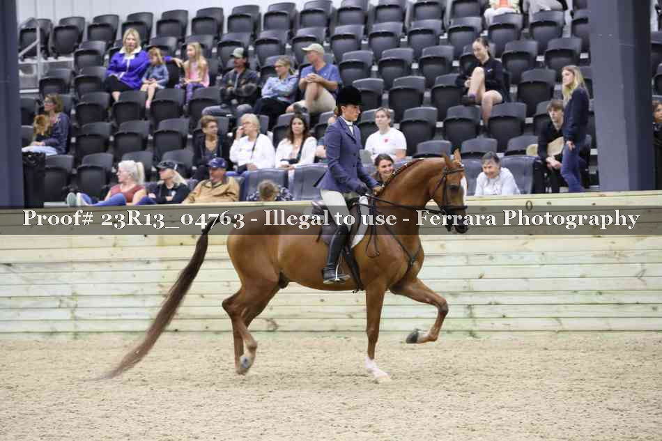 Proof 23R13_04763