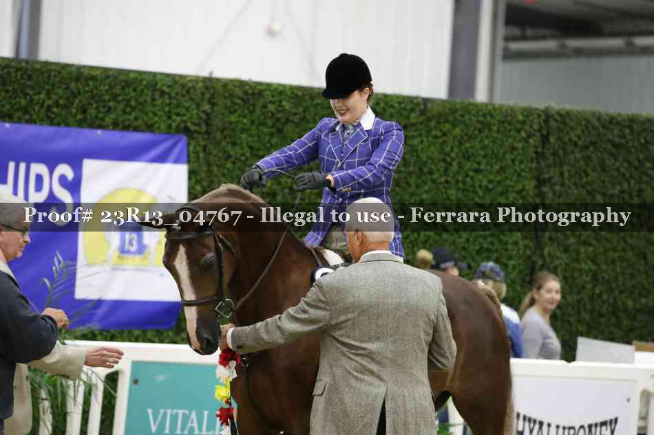 Proof 23R13_04767